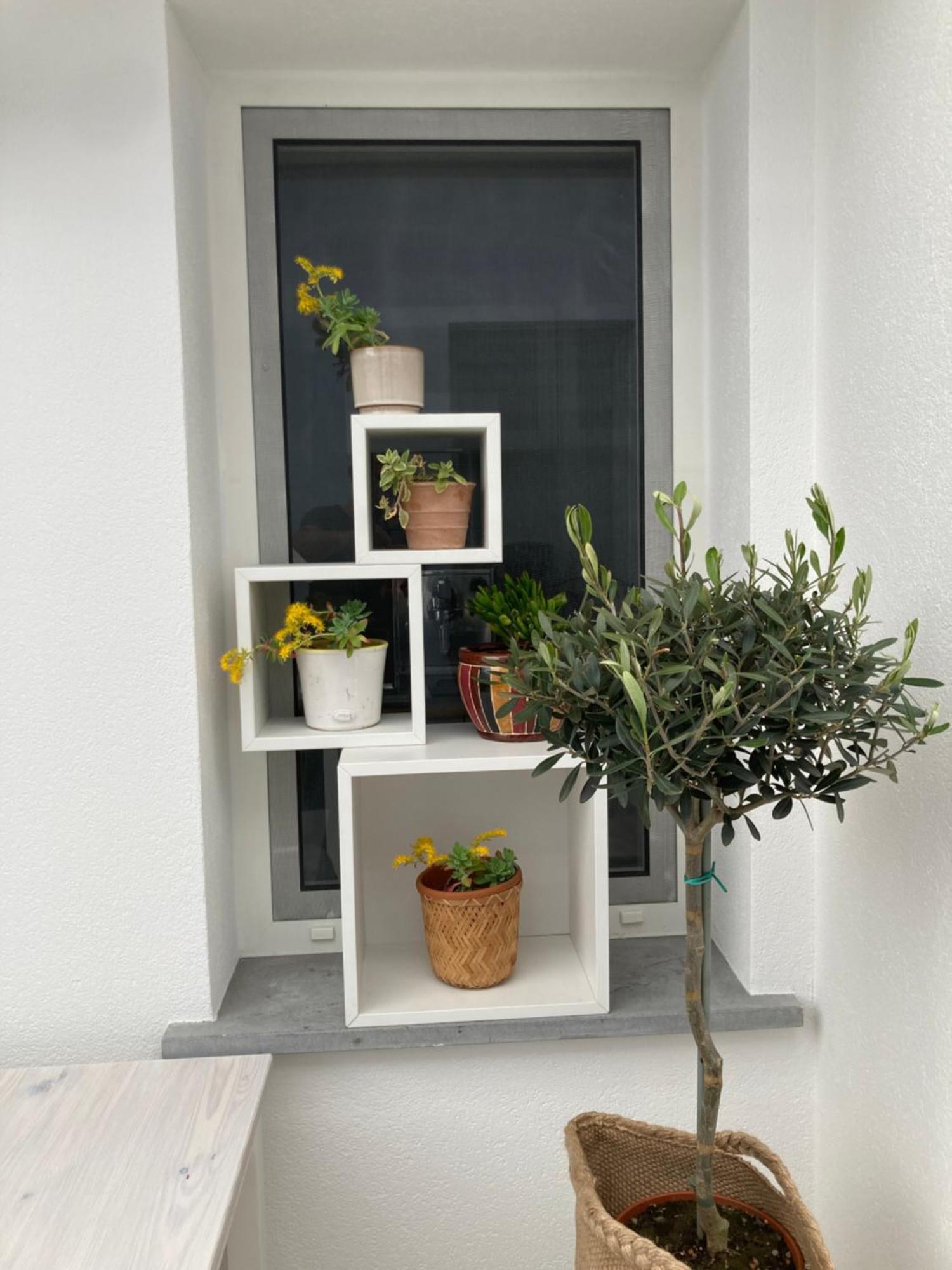 Casa Di Mirea Grado Exterior foto